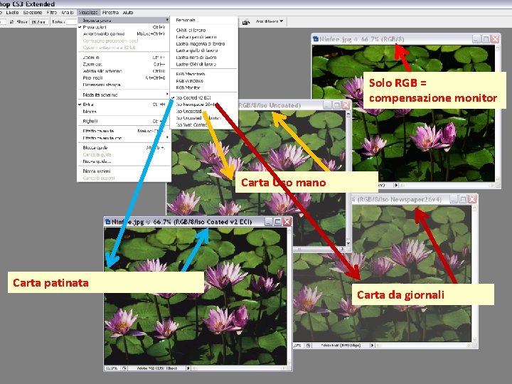 Solo RGB = compensazione monitor Carta Uso mano Carta patinata Carta da giornali 