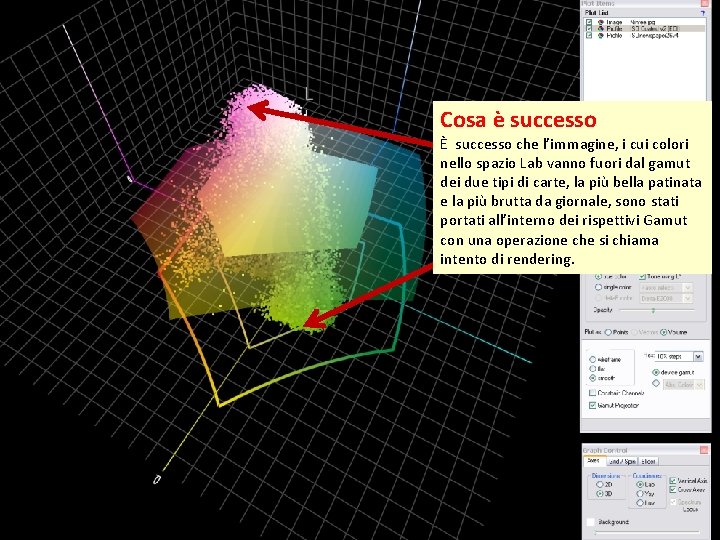 Cosa è successo È successo che l’immagine, i cui colori nello spazio Lab vanno