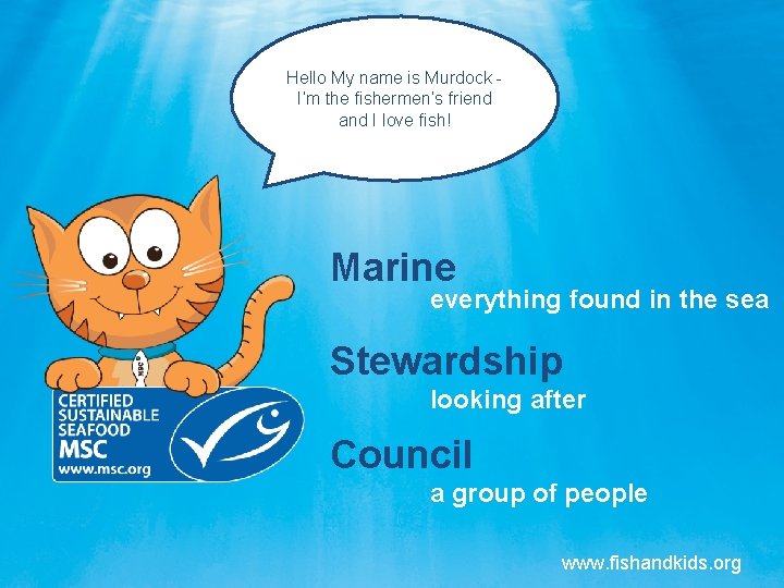 Hello My name is Murdock I’m the fishermen’s friend and I love fish! Marine
