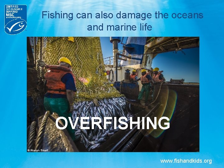Fishing can also damage the oceans and marine life OVERFISHING © Warren Smart www.