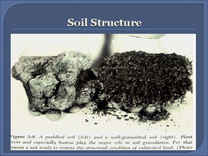 Soil Structure 