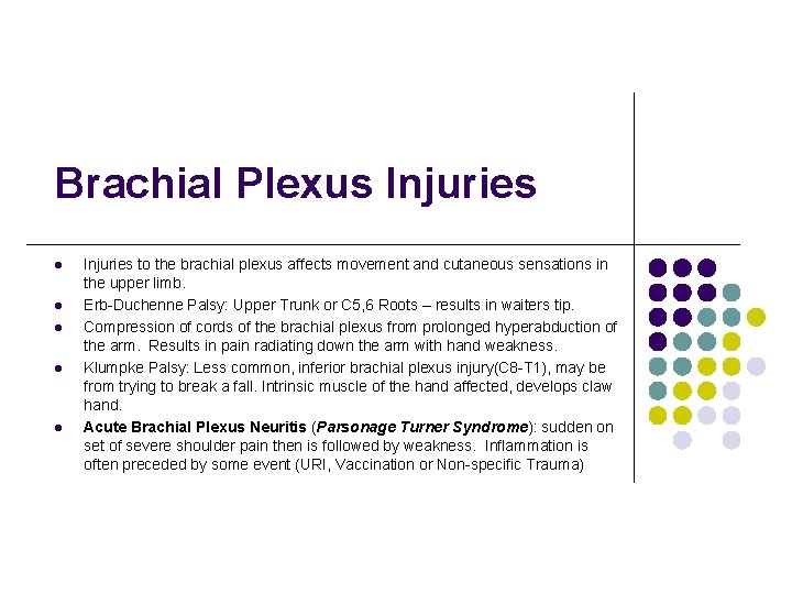 Brachial Plexus Injuries l l l Injuries to the brachial plexus affects movement and