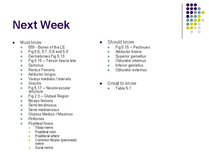 Next Week l Must know l l l l l 559 - Bones of