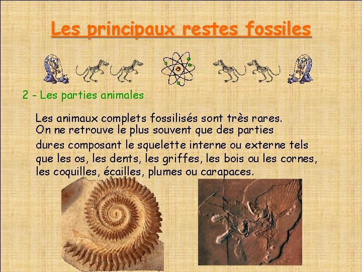 Les principaux restes fossiles 2 - Les parties animales Les animaux complets fossilisés sont