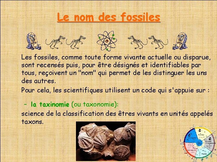 Le nom des fossiles Les fossiles, comme toute forme vivante actuelle ou disparue, sont