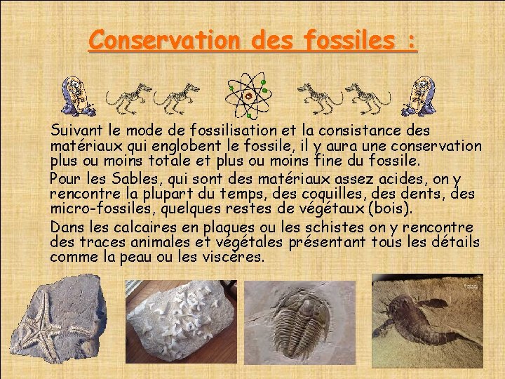 Conservation des fossiles : Suivant le mode de fossilisation et la consistance des matériaux