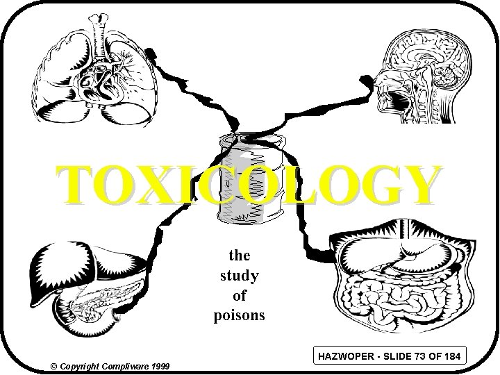 TOXICOLOGY the study of poisons HAZWOPER - SLIDE 73 OF 184 © Copyright Compliware