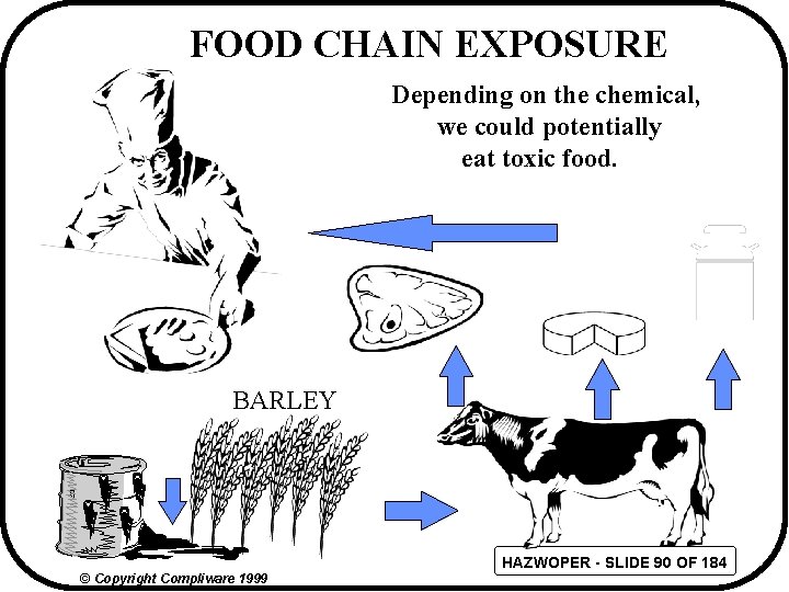 FOOD CHAIN EXPOSURE Depending on the chemical, we could potentially eat toxic food. BARLEY
