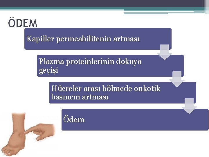ÖDEM Kapiller permeabilitenin artması Plazma proteinlerinin dokuya geçişi Hücreler arası bölmede onkotik basıncın artması