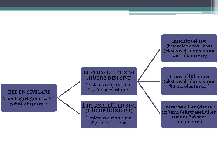 İntersitiyel sıvı (hücreler arası sıvı) (ekstrasellüler sıvının %24 oluşturur) BEDEN SIVILARI -Vücut ağırlığının %