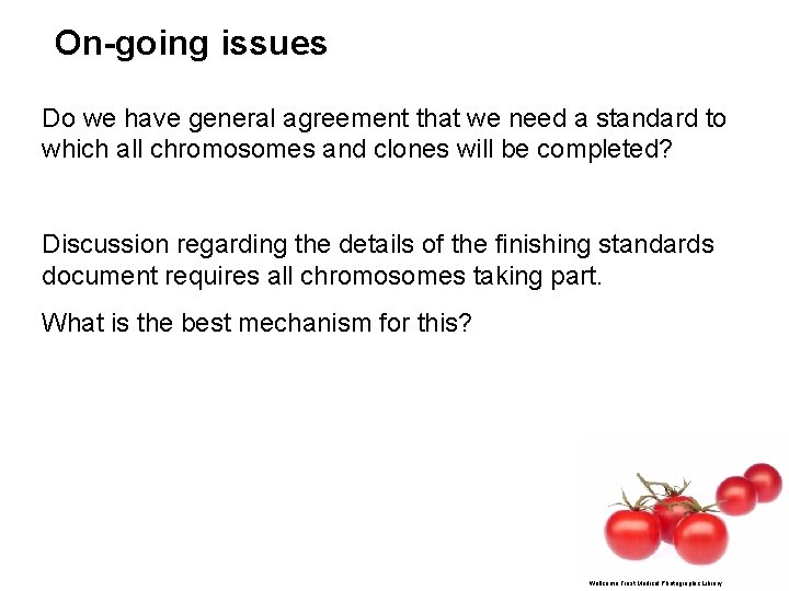 On-going issues Do we have general agreement that we need a standard to which