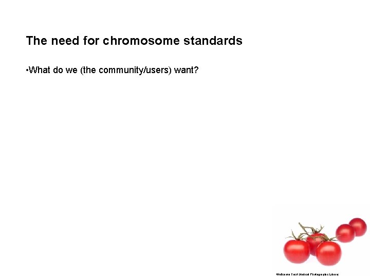 The need for chromosome standards • What do we (the community/users) want? Wellcome Trust