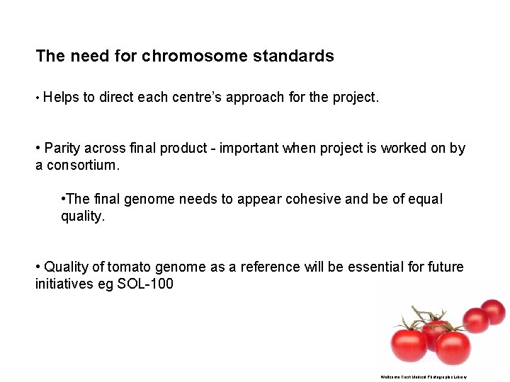 The need for chromosome standards • Helps to direct each centre’s approach for the