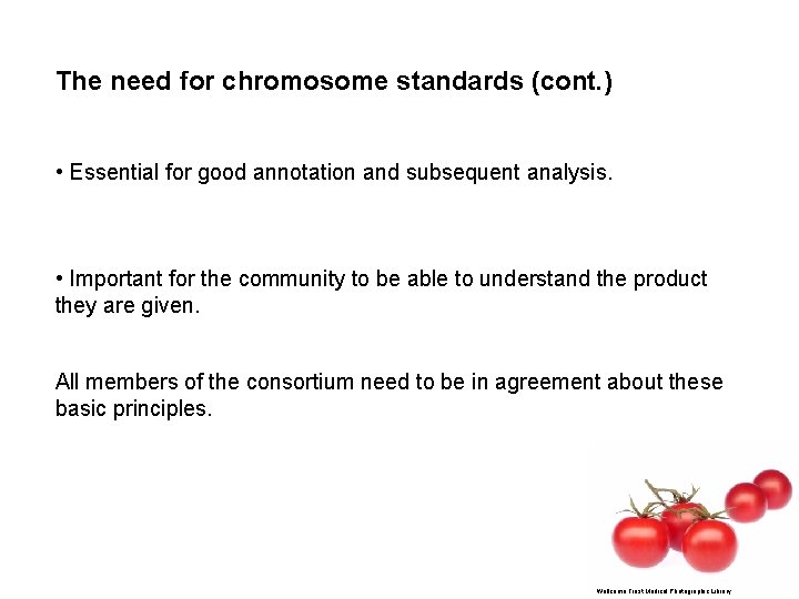 The need for chromosome standards (cont. ) • Essential for good annotation and subsequent