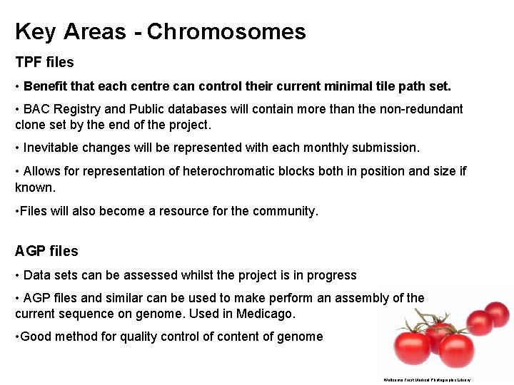 Key Areas - Chromosomes TPF files • Benefit that each centre can control their