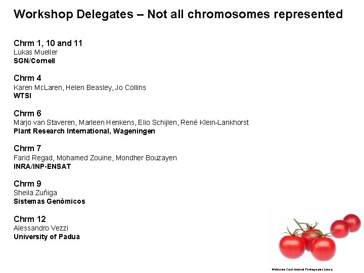 Workshop Delegates – Not all chromosomes represented Chrm 1, 10 and 11 Lukas Mueller