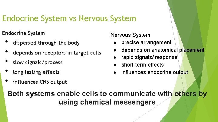 Endocrine System vs Nervous System Endocrine System • • • dispersed through the body