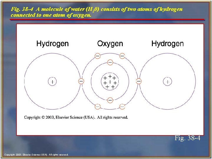 Fig. 38 -4 A molecule of water (H 20) consists of two atoms of