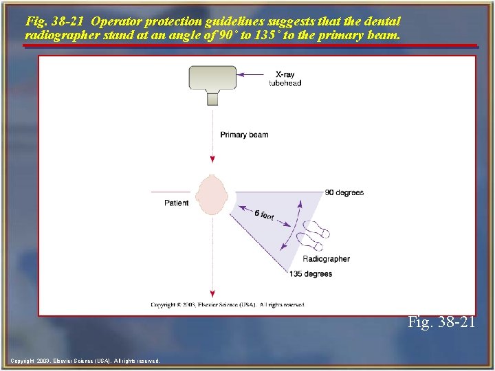 Fig. 38 -21 Operator protection guidelines suggests that the dental radiographer stand at an