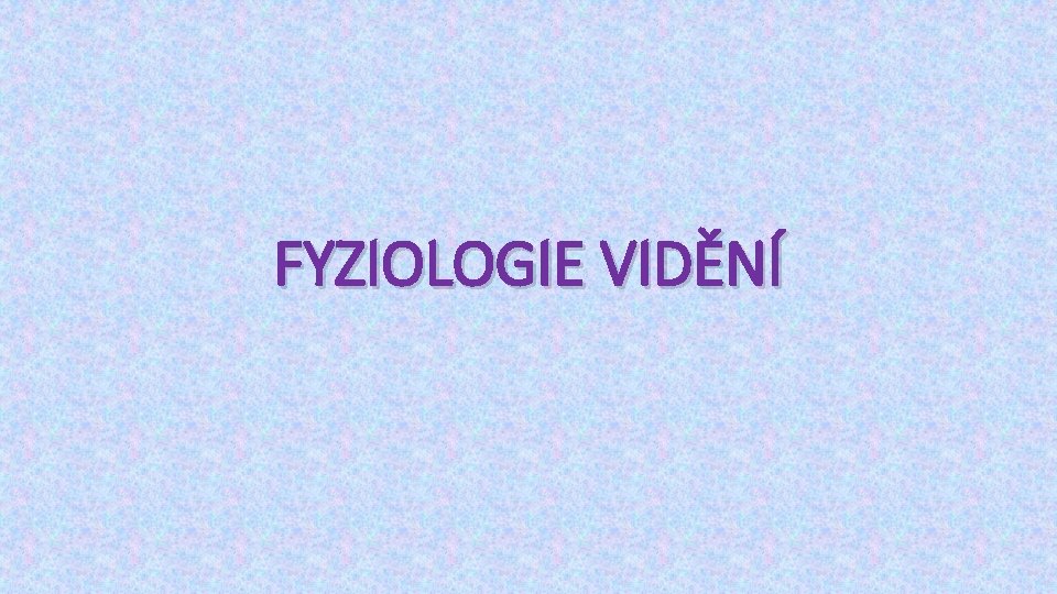 FYZIOLOGIE VIDĚNÍ 