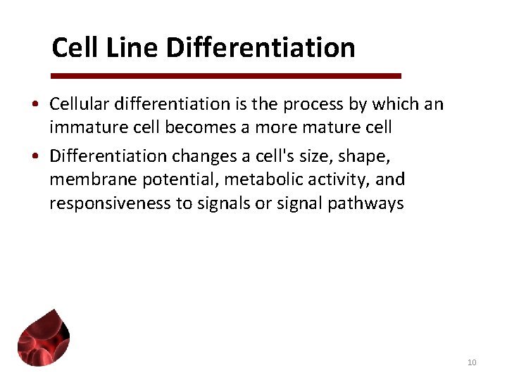 Cell Line Differentiation • Cellular differentiation is the process by which an immature cell