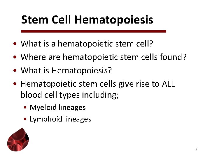 Stem Cell Hematopoiesis • • What is a hematopoietic stem cell? Where are hematopoietic