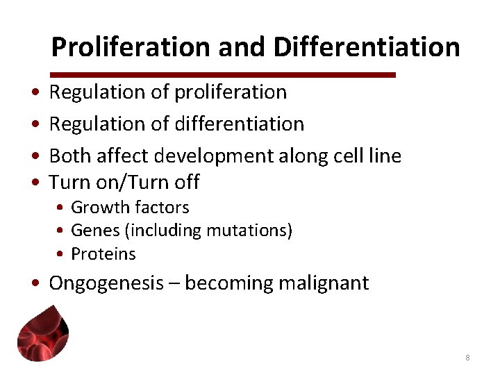 Proliferation and Differentiation • • Regulation of proliferation Regulation of differentiation Both affect development