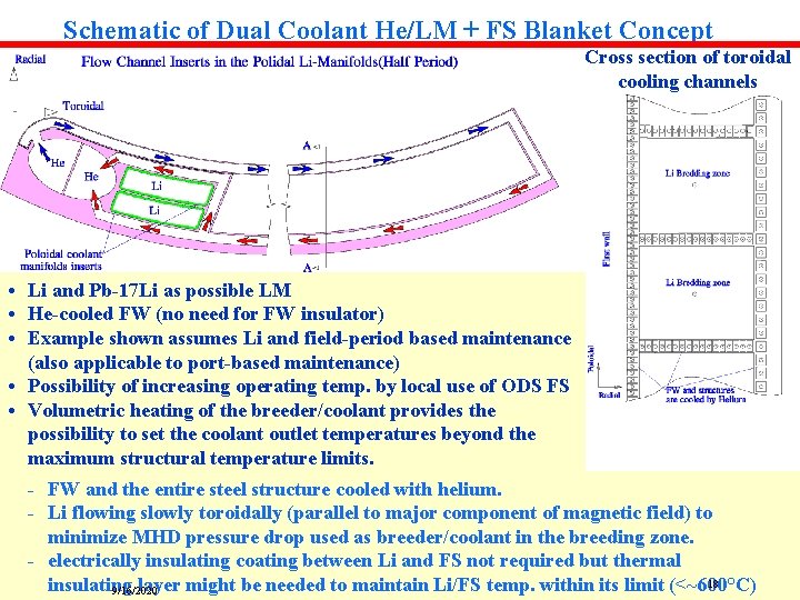 Schematic of Dual Coolant He/LM + FS Blanket Concept Cross section of toroidal cooling