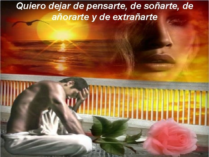 Quiero dejar de pensarte, de soñarte, de añorarte y de extrañarte 