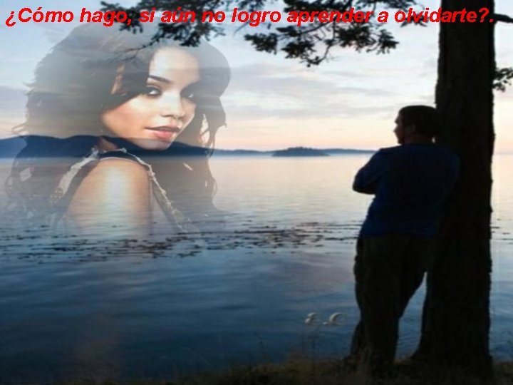 ¿Cómo hago, si aún no logro aprender a olvidarte? . 