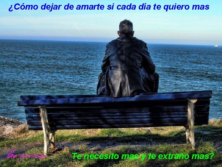 ¿Cómo dejar de amarte si cada día te quiero mas Te necesito mas y