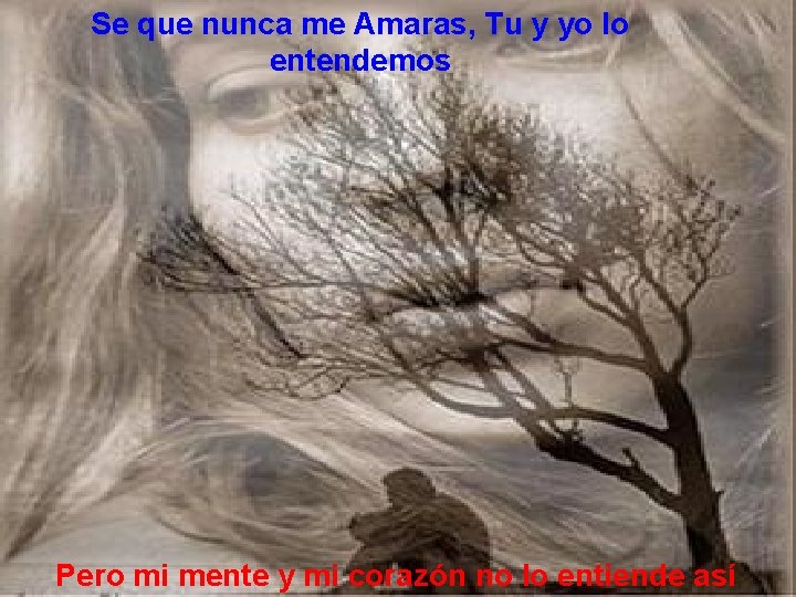 Se que nunca me Amaras, Tu y yo lo entendemos Pero mi mente y