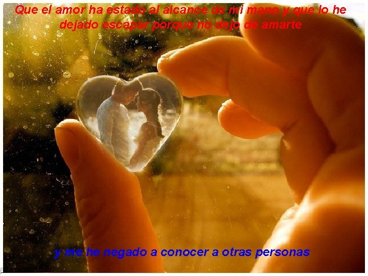 Que el amor ha estado al alcance de mi mano y que lo he