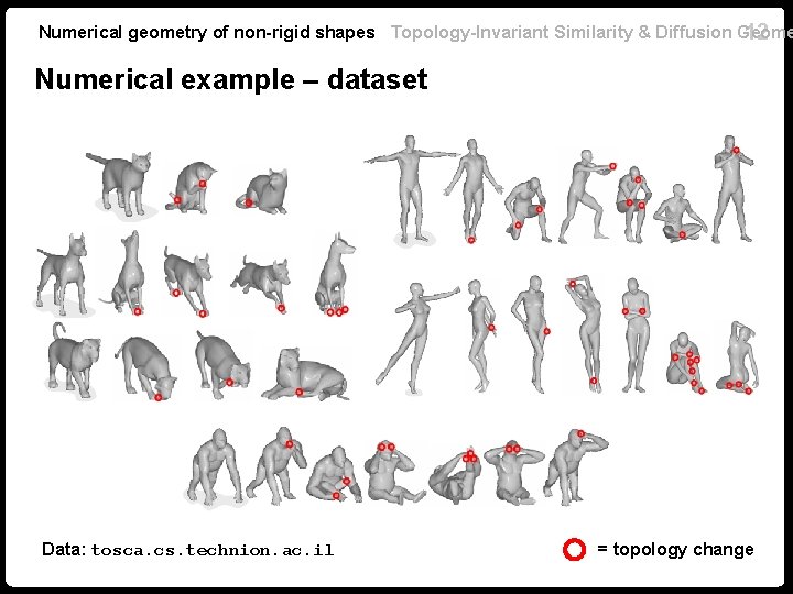 Numerical geometry of non-rigid shapes Topology-Invariant Similarity & Diffusion Geome 12 Numerical example –