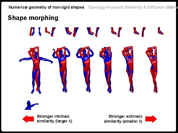 Numerical geometry of non-rigid shapes Topology-Invariant Similarity & Diffusion Geome 18 Shape morphing Stronger