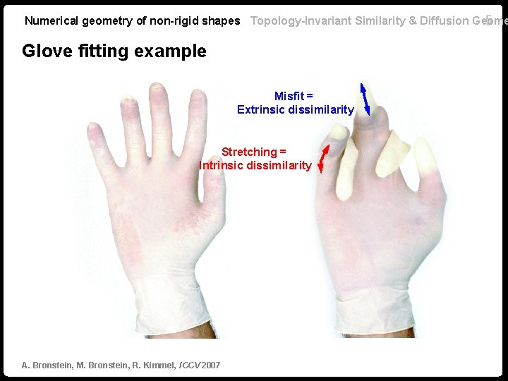 Numerical geometry of non-rigid shapes Topology-Invariant Similarity & Diffusion Geome 5 Glove fitting example