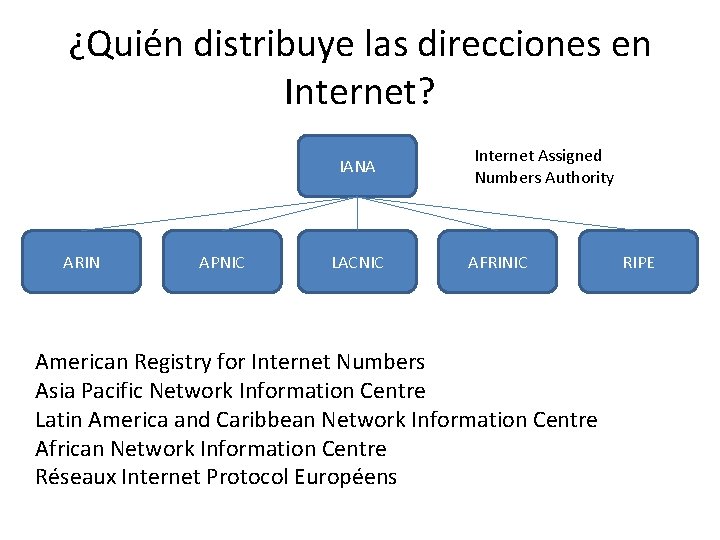 ¿Quién distribuye las direcciones en Internet? IANA ARIN APNIC LACNIC Internet Assigned Numbers Authority