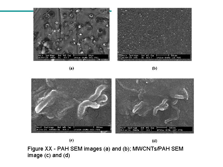 Figure XX - PAH SEM images (a) and (b); MWCNTs/PAH SEM image (c) and