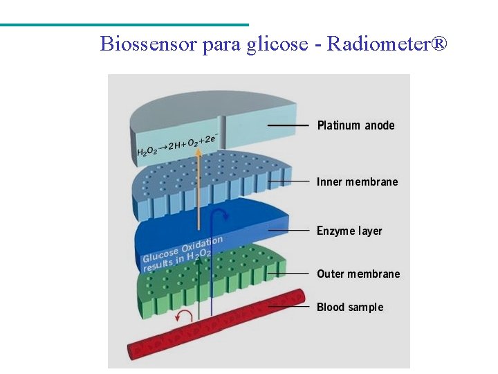 Biossensor para glicose - Radiometer® 