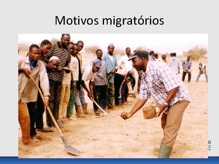 Motivos migratórios 