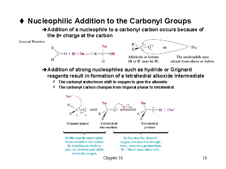 t Nucleophilic Addition to the Carbonyl Groups èAddition of a nucleophile to a carbonyl
