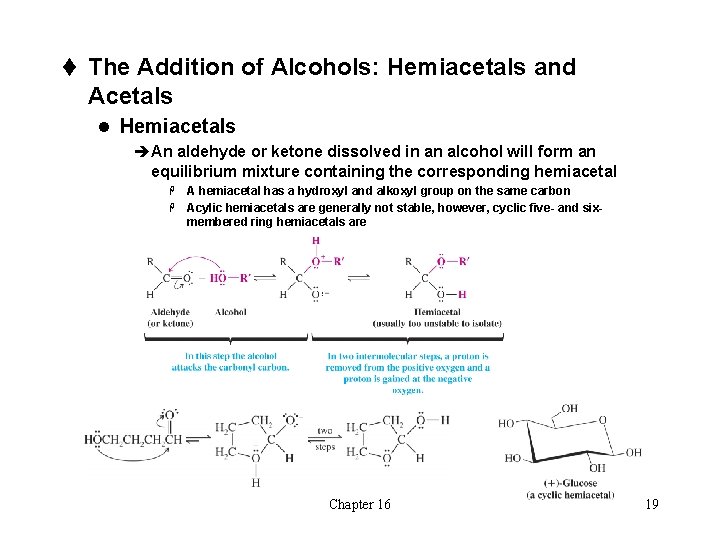 t The Addition of Alcohols: Hemiacetals and Acetals l Hemiacetals èAn aldehyde or ketone