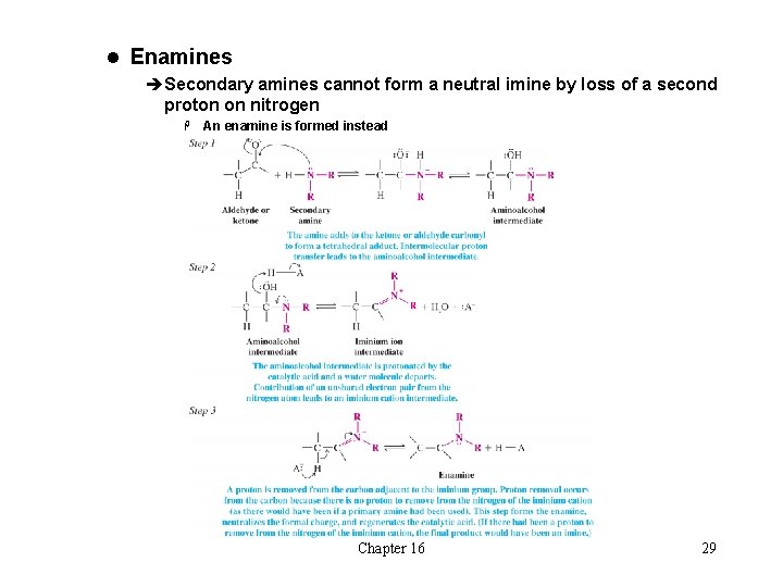 l Enamines èSecondary amines cannot form a neutral imine by loss of a second