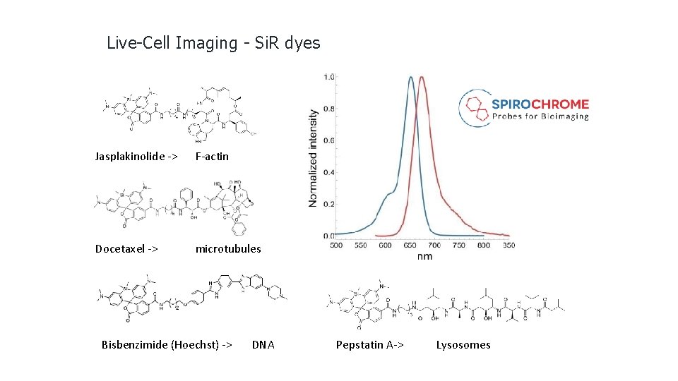 Live-Cell Imaging - Si. R dyes Jasplakinolide -> F-actin Docetaxel -> microtubules Bisbenzimide (Hoechst)