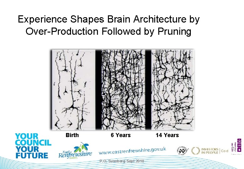 Experience Shapes Brain Architecture by Over-Production Followed by Pruning Birth 6 Years P. O.