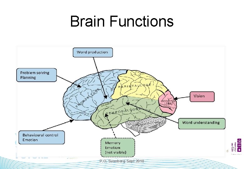 Brain Functions P. O. Svanberg Sept 2010 