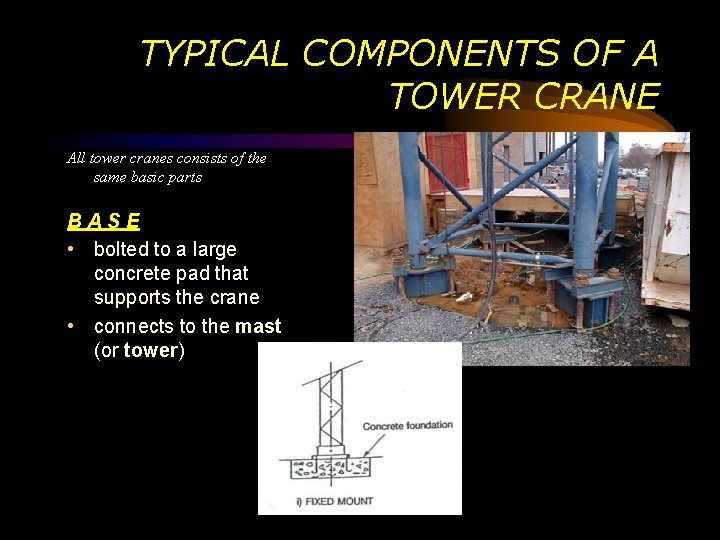 TYPICAL COMPONENTS OF A TOWER CRANE All tower cranes consists of the same basic TYPICAL COMPONENTS OF A TOWER CRANE All tower cranes consists of the same basic