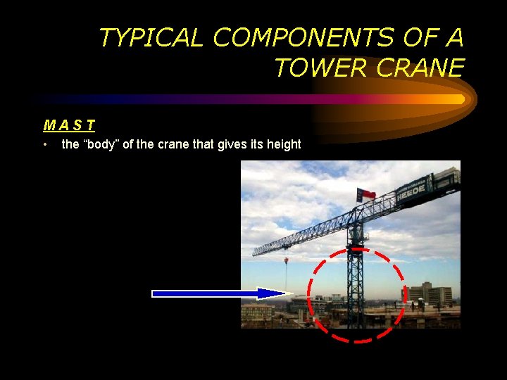 TYPICAL COMPONENTS OF A TOWER CRANE MAST • the “body” of the crane that