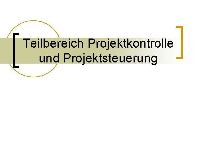 Teilbereich Projektkontrolle und Projektsteuerung 