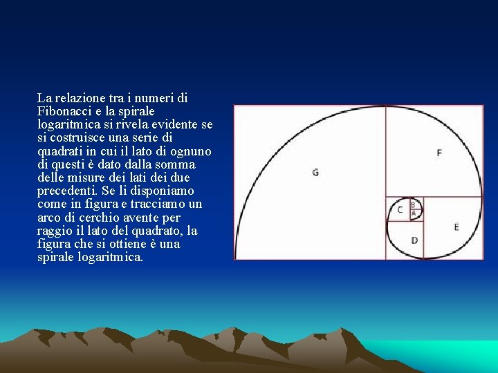 La relazione tra i numeri di Fibonacci e la spirale logaritmica si rivela evidente